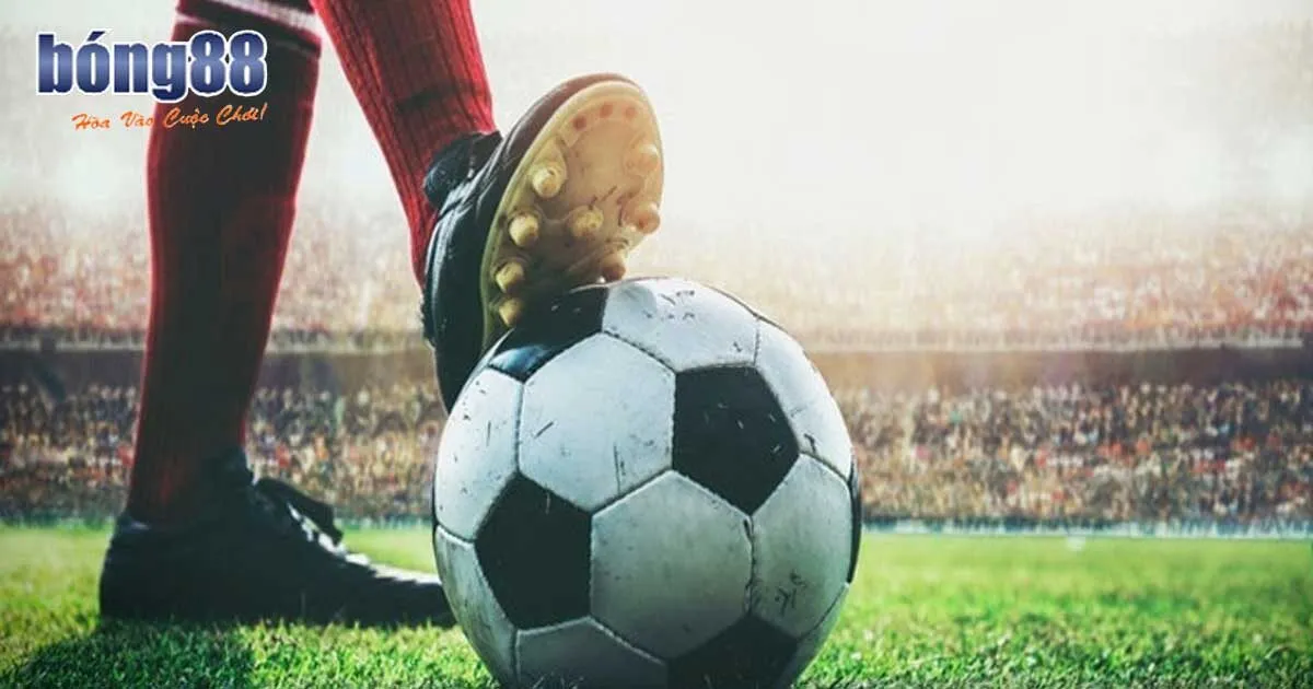 Mẹo hay nhận định kèo nhà cái