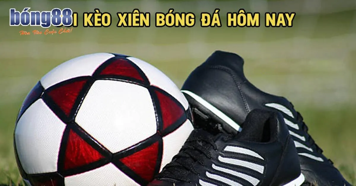 Hướng Dẫn Cách Soi Kèo Xiên Chuẩn Xác Từ A đến Z Cho Tân Thủ Một số lưu ý quan trọng khi tiến hành dự đoán