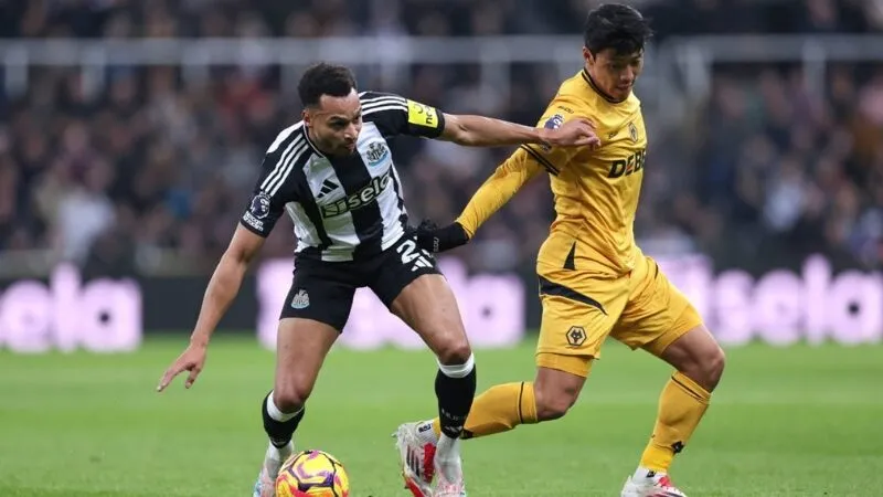 Soi Kèo Bóng Đá - Newcastle vs Wolverhampton 13/09/2025 Khả năng cao Newcastle sẽ giành được 3 điểm ở trận đấu này